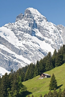 Chalet Prints: Jungfrau massif and Swiss chalet near Murren, Jungfrau Region, Switzerland, Europe