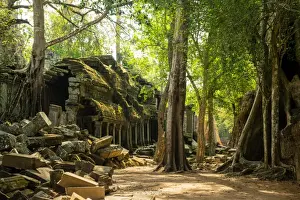 Ancient Culture Prints: The jungle hides the ancient ruins of Ta Prohm in the Angkor National Park, Angkor