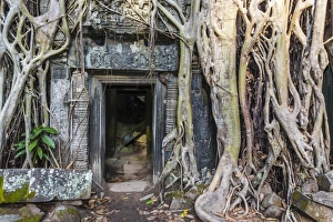 Overgrown Prints: Jungle overgrowth at Ta Prohm Temple (Rajavihara)