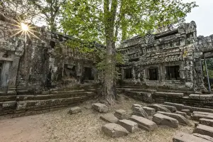 Siem Reap Province Prints: Jungle surrounded ruins at Ta Prohm Temple (Rajavihara)