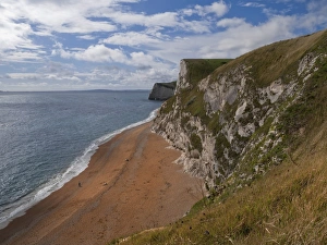 Sea Cliffs Prints: Jurassic Coast, UNESCO World Heritage Site, Dorset, England, United Kingdom, Europe