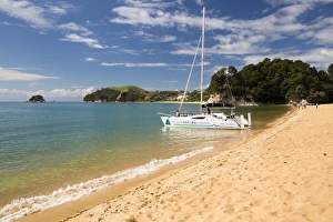 Kaiteriteri beach, Kaiteriteri, Nelson region, South Island, New Zealand, Pacific