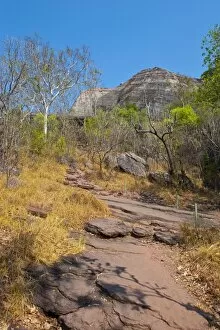 Images Dated 26th September 2008: Kakadu National Park, UNESCO World Heritage Site, Northern Territory, Australia, Pacific