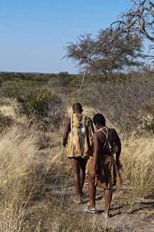 Images Dated 7th June 2009: Kalahari Plains Camp, Deception Valley, Central Kalahari Game Reserve, Botswana, Africa