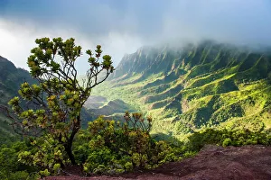 Kauai Prints: Kalalau lookout over the Napali coast from the Kokee State Park