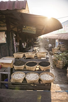 Stall Prints: Kalaw market at sunrise, Shan State, Myanmar (Burma), Asia