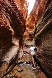 30 34 Years Prints: Kanarra Creek Canyon, Kanarraville, Utah, United States of America, North America
