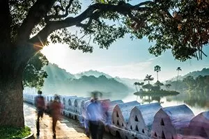 Silhouetted Gallery: Kandy Lake, Kandy, Sri Lanka, Asia