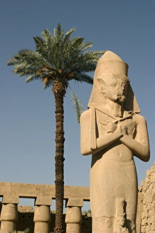 Karnak temple, Thebes, UNESCO World Heritage Site, Egypt, North Africa, Africa