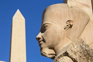 Karnak Temple, UNESCO World Heritage Site, near Luxor, Egypt, North Africa, Africa
