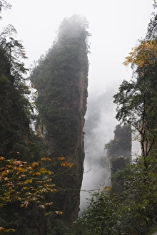 Images Dated 5th November 2008: Karst limestone rock formations at Zhangjiajie Forest Park, Wulingyuan Scenic Area