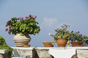 Pot Plant Prints: Karya, Lefkada (Lefkas)