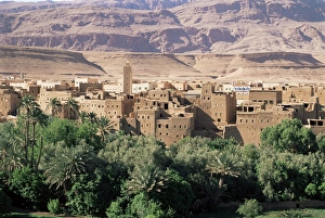 Draa Valley Prints: Kasbahs in the Draa Valley