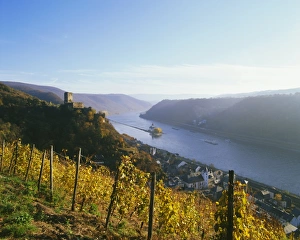 Rhine Valley Prints: Kaub with Gutelfels Castle