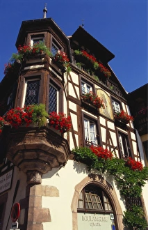 Window Box Prints: Kaysersberg, Upper Alsace, France, Europe