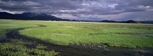 Images Dated 5th August 2008: Kazakh camp