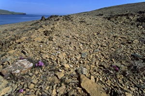 Unst Prints: Keen of Hamar National Nature Reserve
