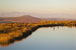 Keepers Pond, Blorenge, Sugar loaf Mountain, Brecon Beacons, Wales, U. K