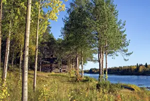 Finland Prints: Kemijoki River bank shows trees and a wooden structure