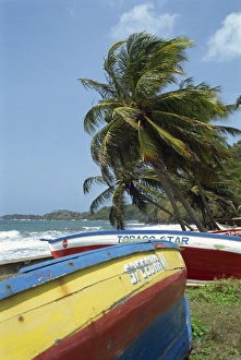 Tobago Prints: Kendal, Tobago