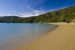 Images Dated 13th November 2008: Kenepuru Sound, South Island, New Zealand, Pacific