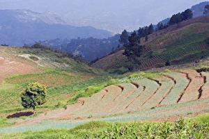 Kenscoff Mountains near Port au Prince, Haiti, West Indies, Caribbean, Central America