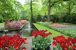 Images Dated 13th May 2008: Keukenhof gardens, Holland, Europe