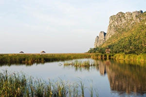 Marsh Prints: Khao San Roi Yot National Park wetlands, Prachuap Kiri Khan, Thailand, Southeast Asia