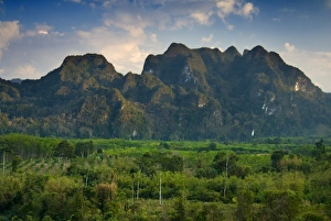 Images Dated 15th February 2007: Khao Sok National Park, Surat Thani Province, Thailand, Southeast Asia, Asia