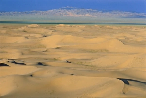 Natural Pattern Prints: Khongoryn Els Dunes