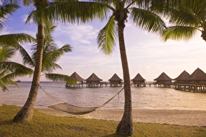 Images Dated 18th January 2006: Kia Ora Resort, Rangiroa, Tuamotus, French Polynesia, South Pacific, Pacific