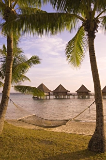 Images Dated 18th January 2006: Kia Ora Resort, Rangiroa, Tuamotus, French Polynesia, South Pacific, Pacific