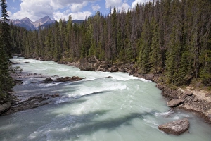 Natural Bridge Prints: Kicking Horse River near Natural Bridge, Yoho National Park, UNESCO World Heritage Site