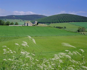 Farm Stead Prints: Kildrummy, the Grampians