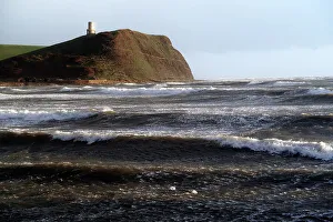 Local Flora Prints: Kimmeridge Bay, Jurassic Coast