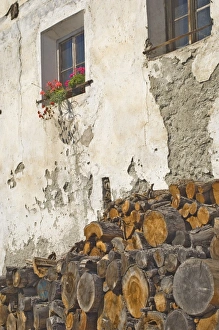 Fuel Prints: Kindling and geraniums against an old wall