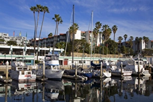Images Dated 5th February 2009: King Harbor, Redondo Beach, California, United States of America, North America