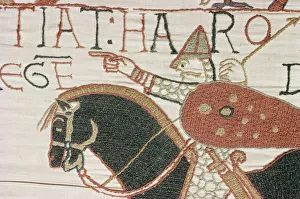 Cloth Prints: King Harold arriving from North to confront William, Bayeux Tapestry, Normandy