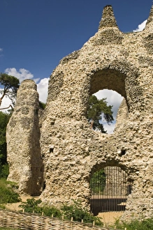 Images Dated 14th June 2008: King Johns Castle where King John resided prior to signing the Magna Carta in 1215