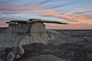 Standing Out Prints: King of Wings at sunset, Bisti Wilderness, New Mexico, United States of America