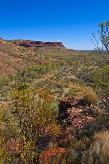 Images Dated 13th October 2008: Kings Canyon, Northern Territory, Australia, Pacific
