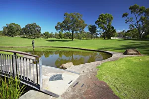 Western Australia Prints: Kings Park, Perth, Western Australia, Australia, Pacific