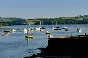 Estuaries Prints: The Kingsbridge estuary, Kingsbridge, Devon, England, United Kingdom, Europe