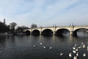 Thames Collection: Kingston Bridge spans the River Thames at Kingston-upon-Thames, a suburb of London, England