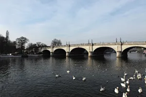 River Thames Gallery: Kingston Bridge spans the River Thames at Kingston-upon-Thames, a suburb of London, England