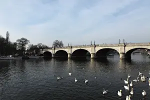 Bridges Prints: Kingston Bridge spans the River Thames at Kingston-upon-Thames