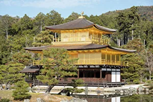 Kinkaku Ji Golden Pavilion Temple Prints: Kinkaku-ji Golden Pavilion Temple, UNESCO World Heritage Site, Kyoto, Honshu, Japan, Asia