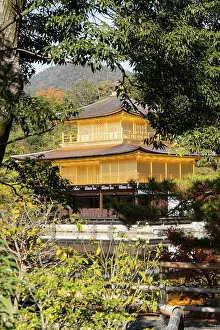 Kinkaku Ji Golden Pavilion Temple Prints: Kinkaku-ji Golden Pavilion Temple framed by trees