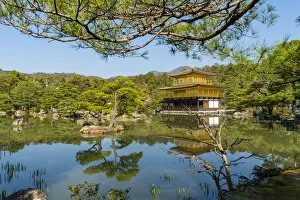 Typically Japanese Gallery: Kinkaku-ji temple, UNESCO World Heritage Site, Kyoto, Japan, Asia
