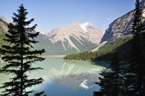 Images Dated 3rd August 2008: Kinney Lake and Whitehorn Mountain, Mount Robson Provincial Park, British Columbia